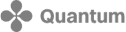 quantum logo